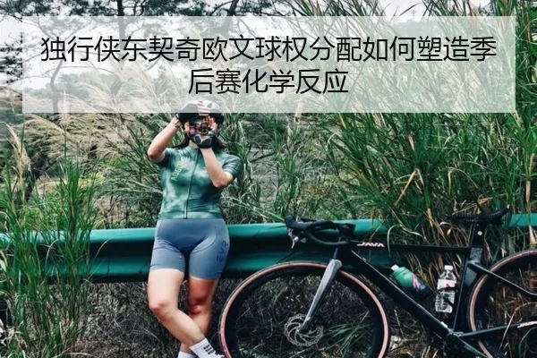 独行侠东契奇欧文球权分配如何塑造季后赛化学反应